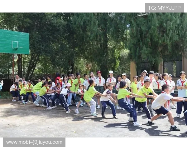 九游体育平台多元化体育项目,满足不同用户的多样化体育需求 九游体育平台多元化体育项目,满足不同用户的多样化体育需求