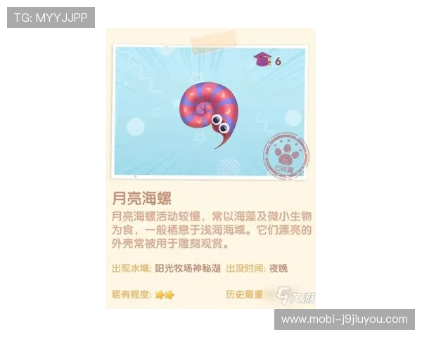 ag九游官网进入客服渠道介绍，确保玩家能够顺畅获取游戏技术支持与反馈意见的完整流程